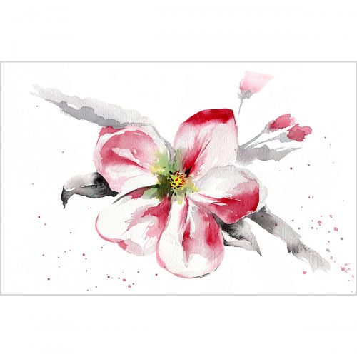 Blooming apple tree, watercolor