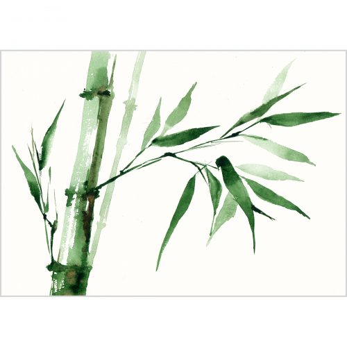 Green bamboo, watercolor on paper