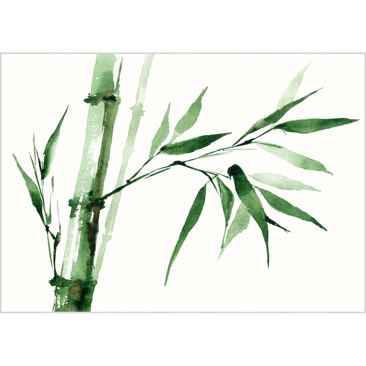 Green bamboo, watercolor on paper Green bamboo, watercolor on paper