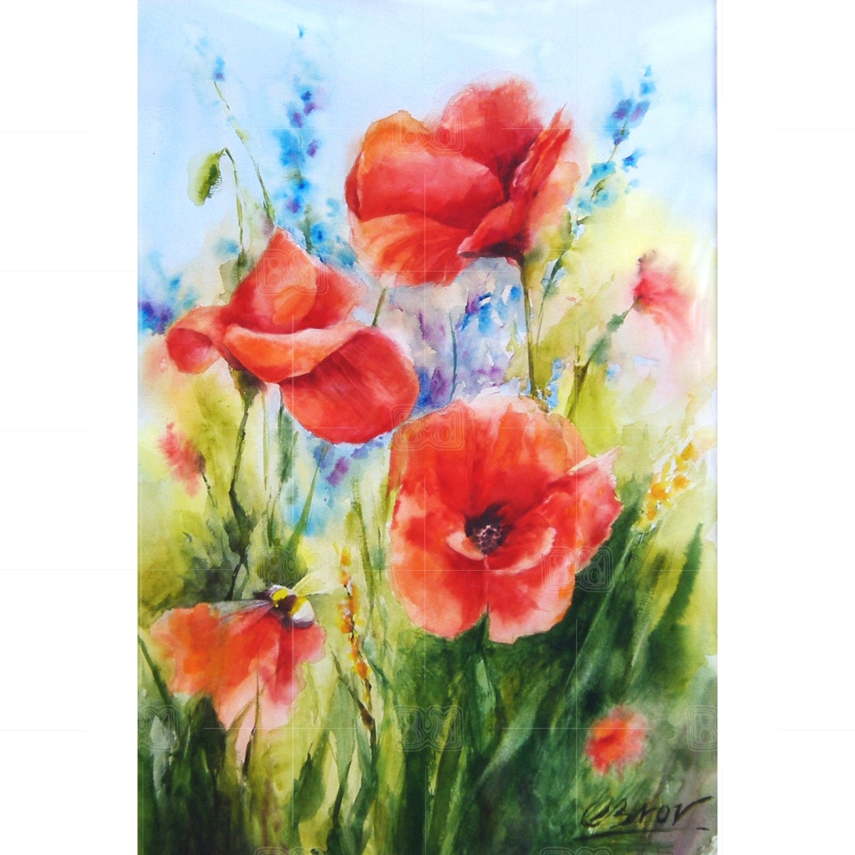 red_poppies_70x50_1200_1x1
