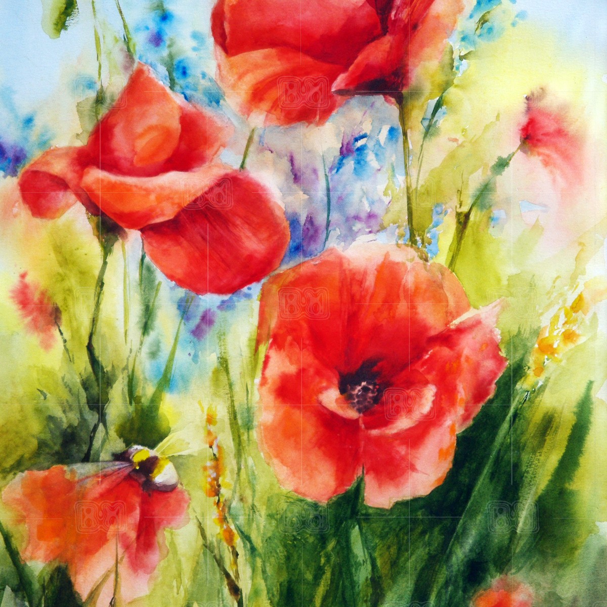 red_poppies_70x50_detail_1200