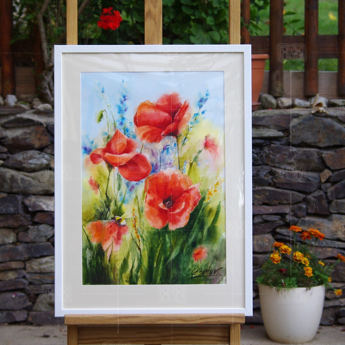 red_poppies_70x50_onmolbert_1200