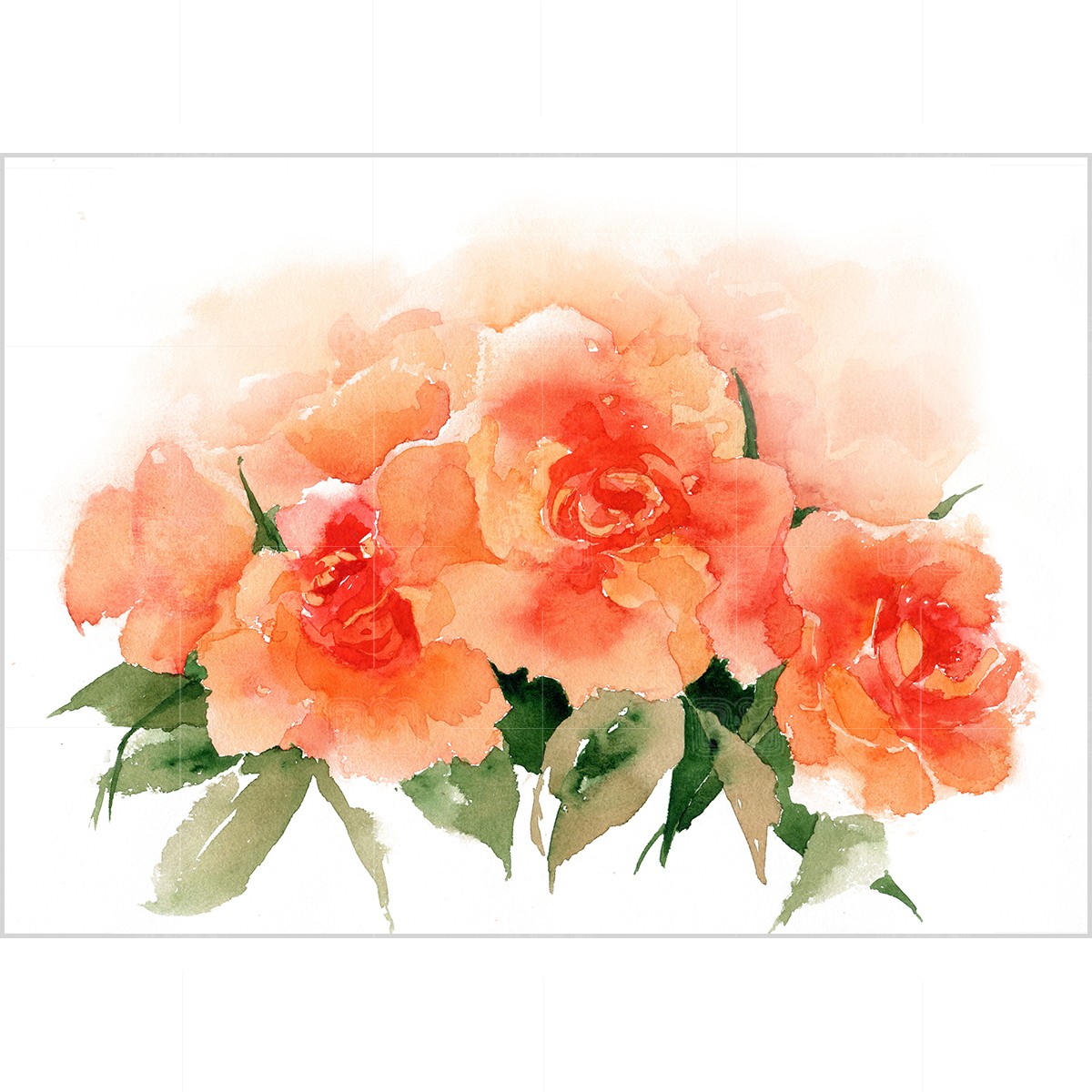 Orange roses, watercolor Orange roses, watercolor, 11.8*7.8" (30x20cm)