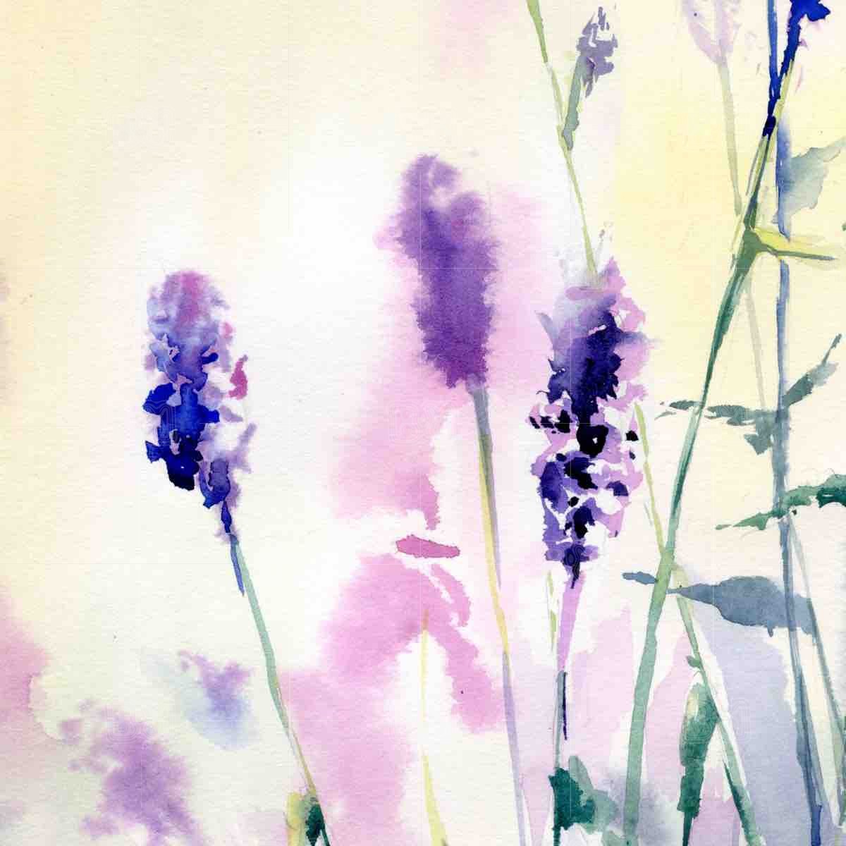 Sunrise at a lavender field - original watercolor paniting - close up Sunrise at a lavender field - original watercolor paniting - close up