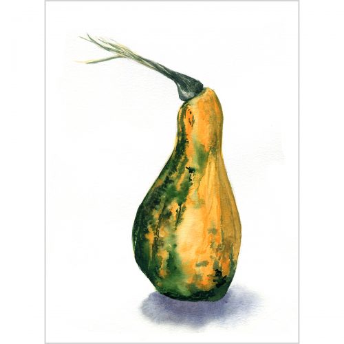 Orange-green pumpkin - original watercolor painting