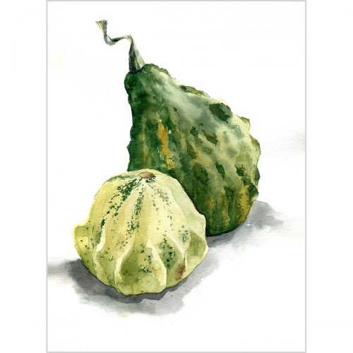 Light green and dark green pumpkins - riginal watercolor painting